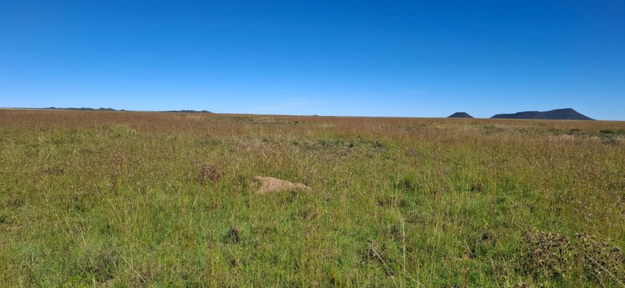 3 Bedroom Property for Sale in Bloemfontein Rural Free State
